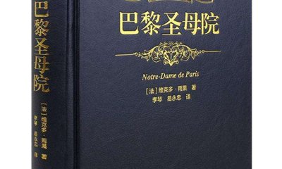 《巴黎圣母院》读后感范文400字