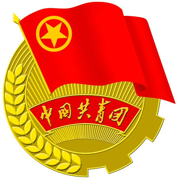 中国共青团入团申请书
