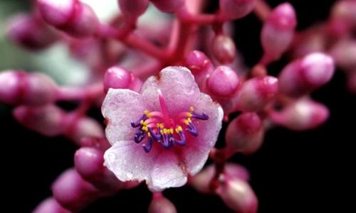 适合2020夏天的小清新唯美说说朋友圈文案精选_2020立夏说说80句