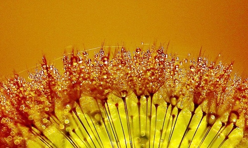 关于2020母亲节温馨说说朋友圈文案精选大全