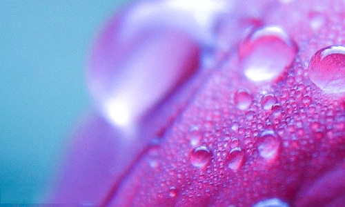 2020夏至最新说说朋友圈文案祝福语精选80句_夏天说说大全