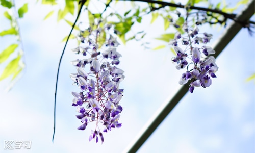 最火的中考发朋友圈怎么写