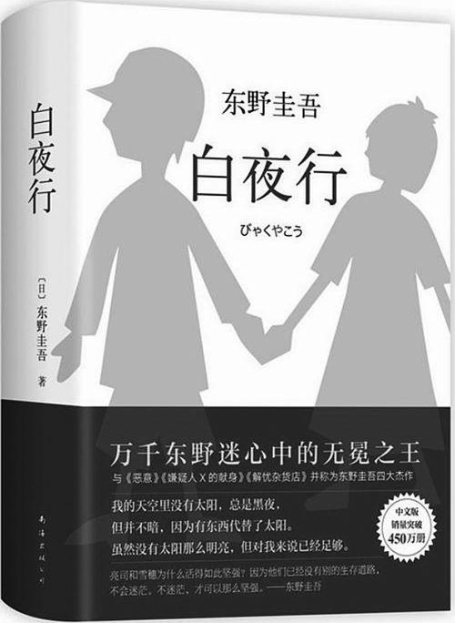 小说白夜行读后感700字范文