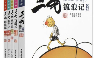 最新2020三毛流浪记读后感